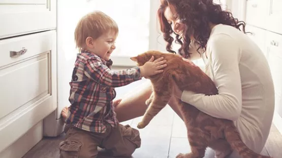 Family with a dog